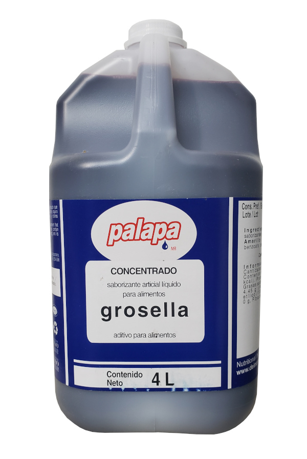 CONCENTRADO GROSELLA PALAPA GALON