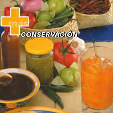 Conservadores