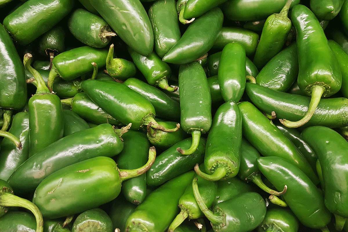 Chiles